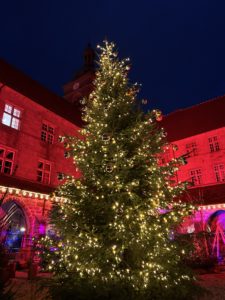 LS-Événements - Guirlandes de Noël
